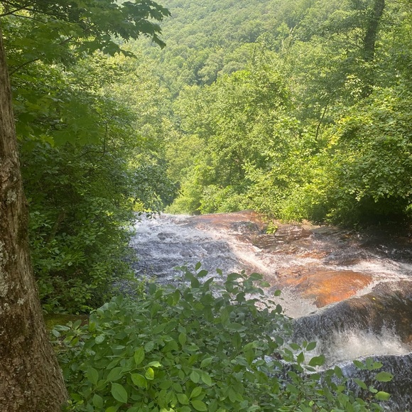 Meet your Posher, Kathryn - Picture 1 of 1